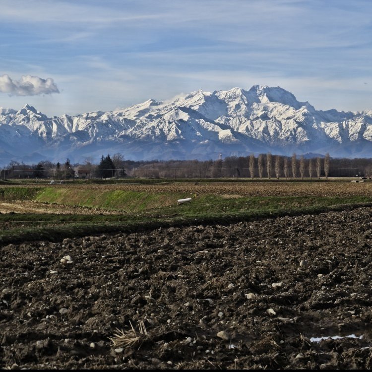 monte rosa